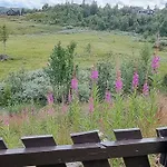 Family With Firepit At Sondre Fjellstolen *