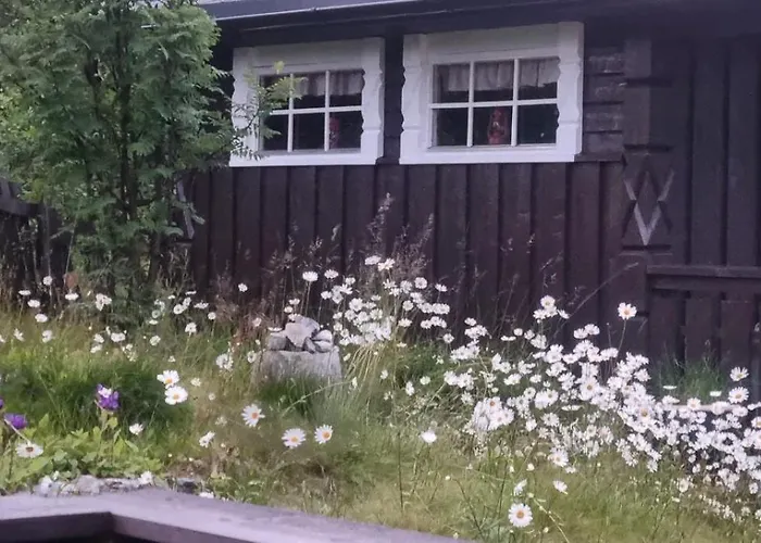 Family With Firepit At Sondre Fjellstolen Reinli