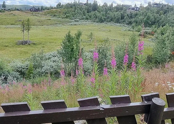 Family With Firepit At Sondre Fjellstolen *